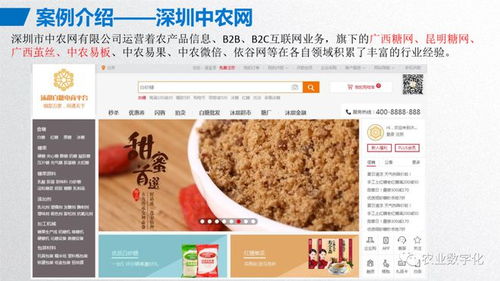 大宗农产品交易平台建设方案